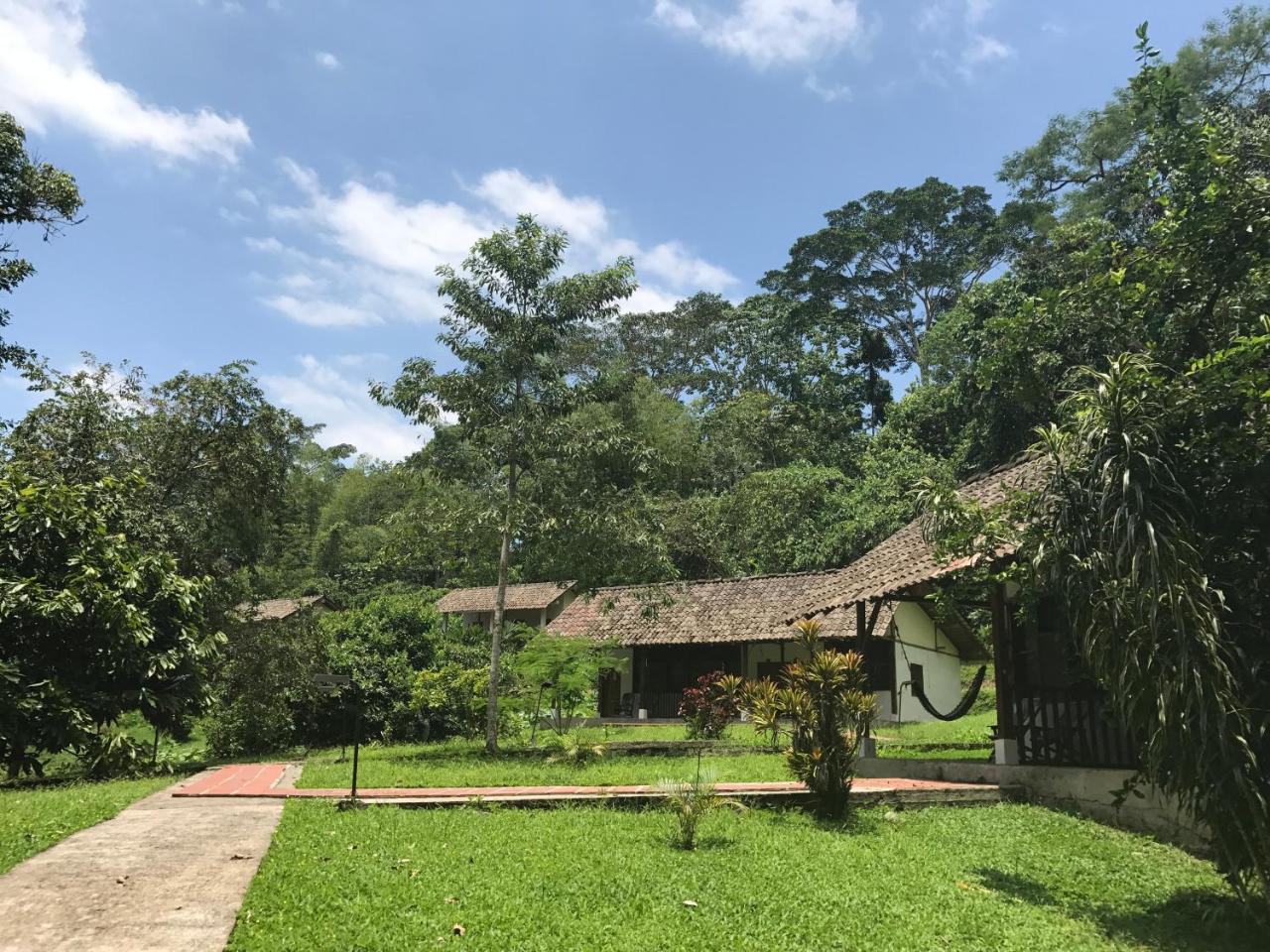 Jungle Lodge El Jardin Aleman Tena Extérieur photo